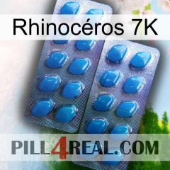 Rhinocéros 7K viagra2